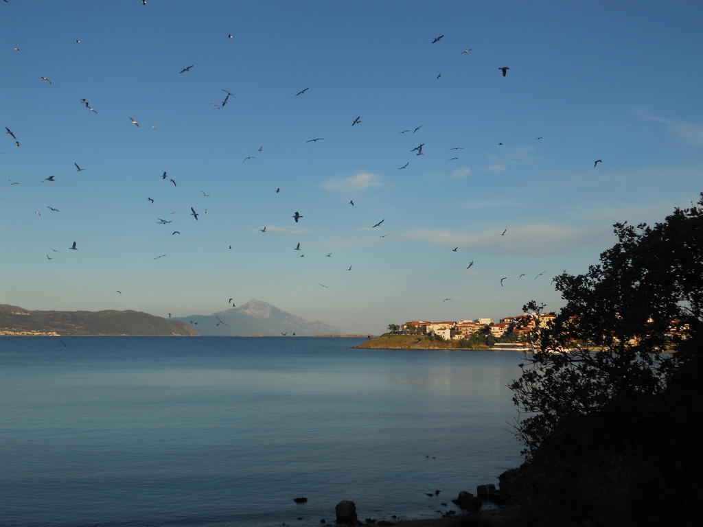 Dominici Hotell Amolianí Rom bilde