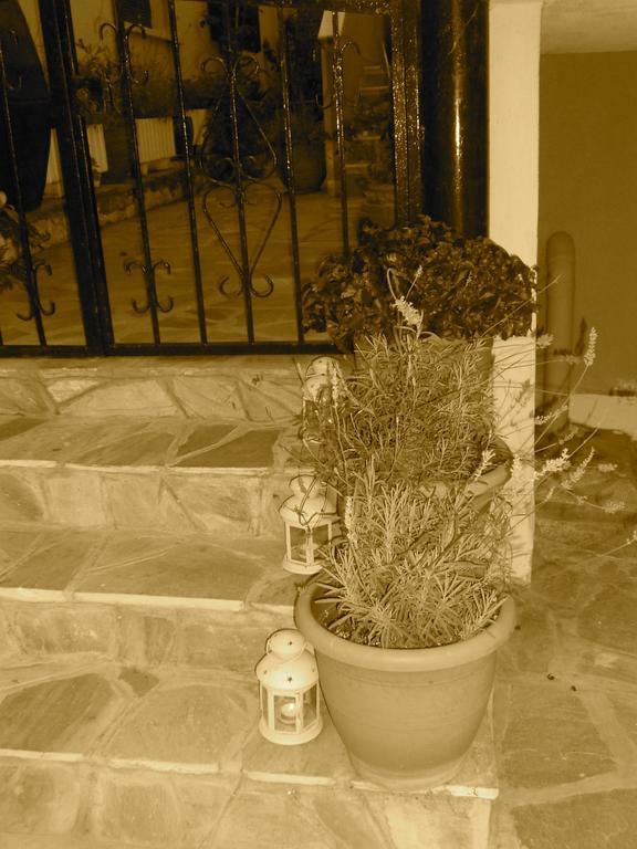 Dominici Hotell Amolianí Rom bilde